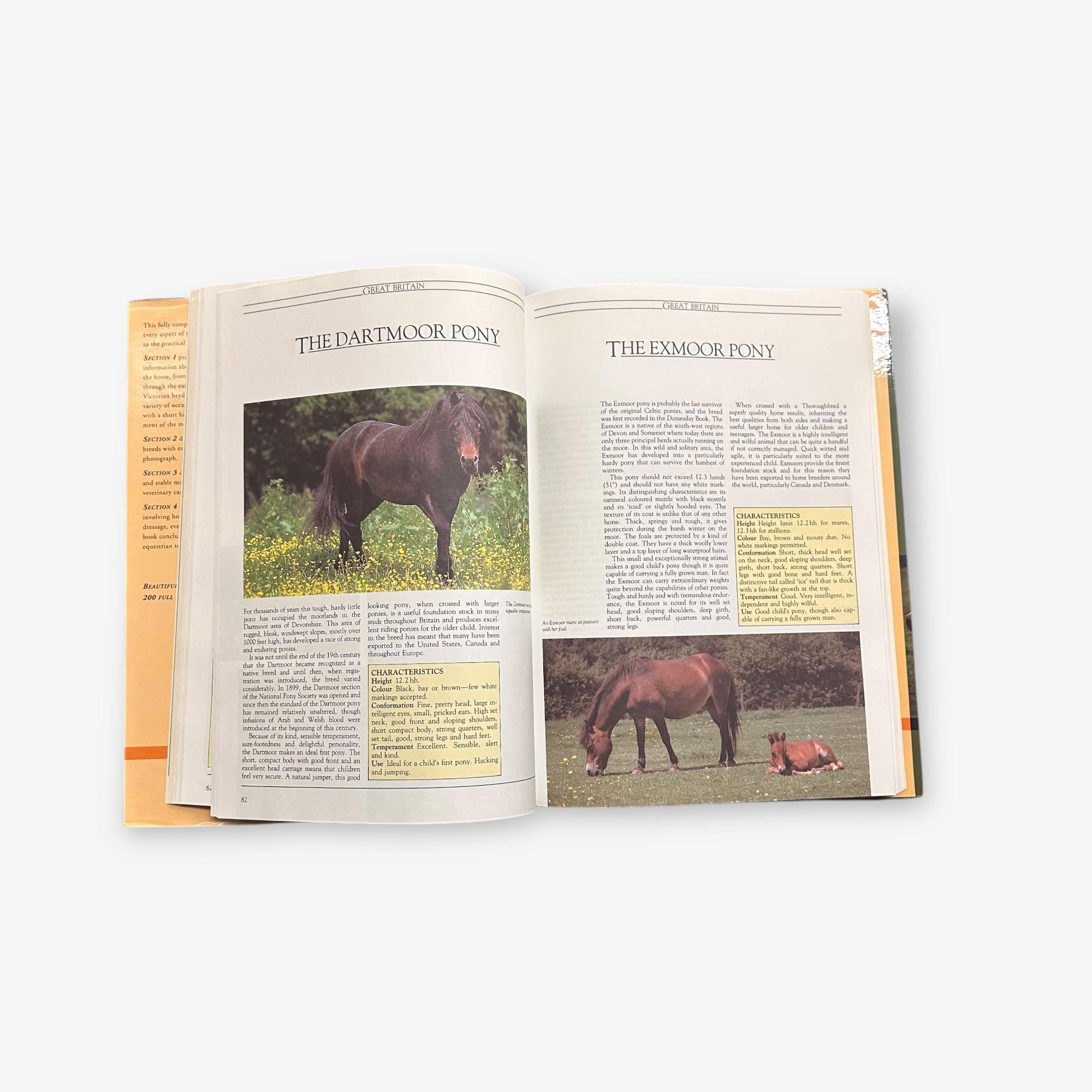 The Horse - A Complete Encyclopedia - Hardback Book (Angela Rippon) 1987