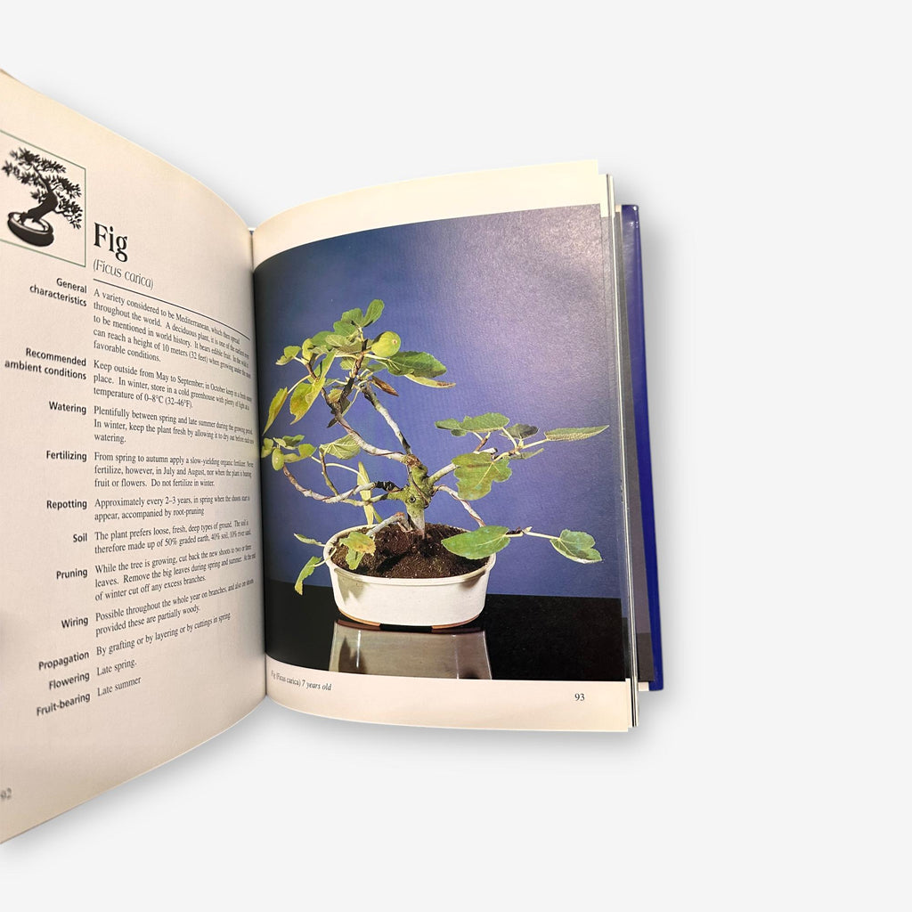 Bonsai - Hardback Book (Luigi Crespi) 1995