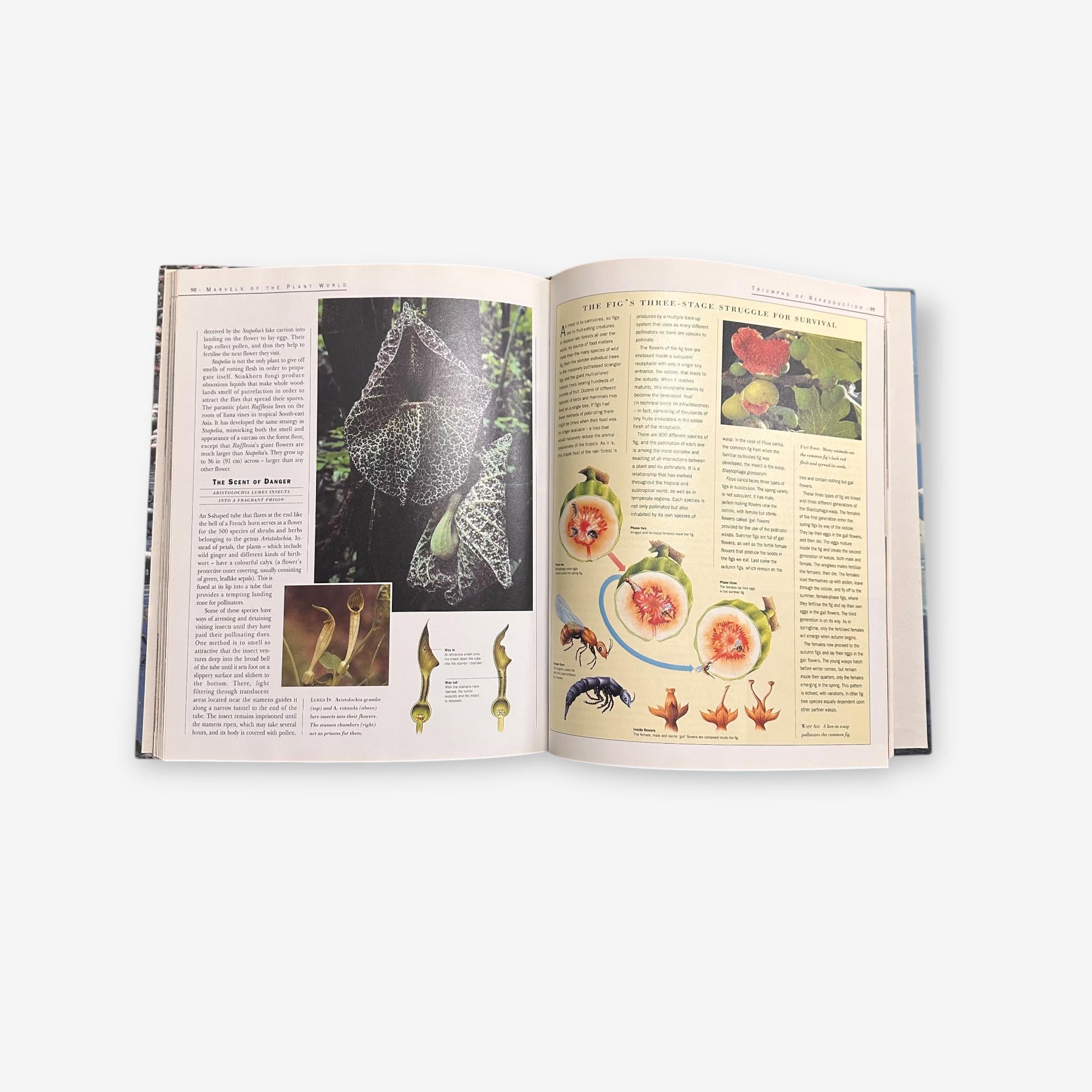 Nature&#39;s Masterpieces - The Earth, Its Wonder, Its Secrets - Hardback Book (Reader&#39;s Digest)