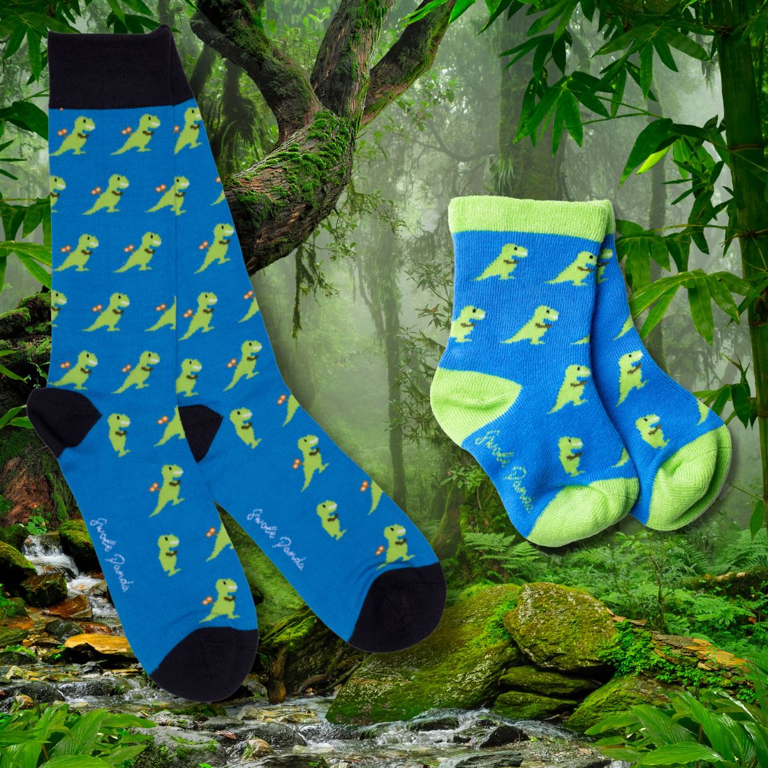 T-Rex Matching Bamboo Socks (Adult & Child)