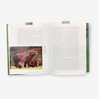 Andes To Amazon - A Guide To Wild South America - Hardback Book (Michael Bright) 2000