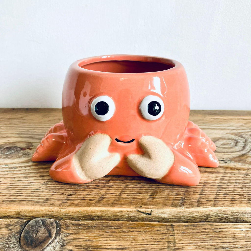 Novelty Orange Crab Planter Garden Plant Pot Unique Homeware Gift 18cm