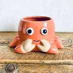 Novelty Orange Crab Planter Garden Plant Pot Unique Homeware Gift 18cm