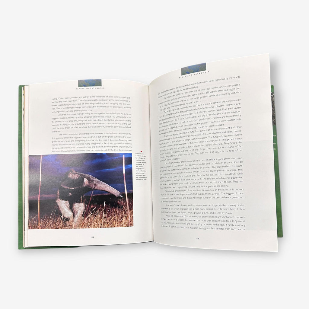 Andes To Amazon - A Guide To Wild South America - Hardback Book (Michael Bright) 2000