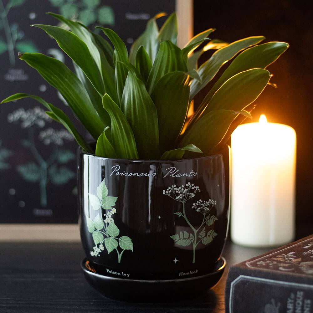 Gothic Gifts Poisonous Plants Plant Pot