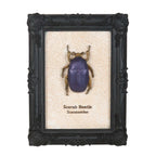 Gothic Gifts Scarab Beetle Framed Wall Art Print