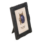 Gothic Gifts Scarab Beetle Framed Wall Art Print