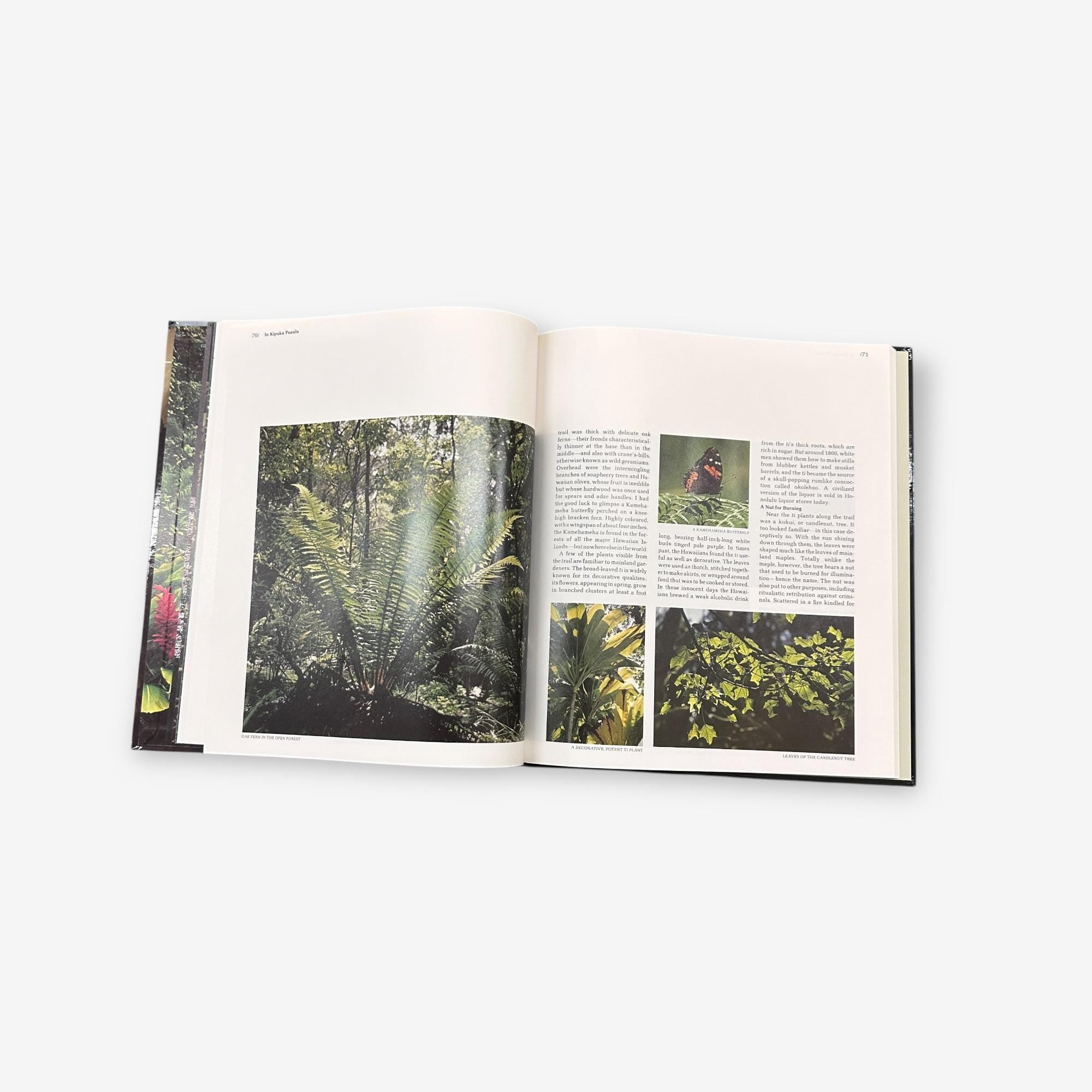 Hawaii - The World&#39;s Wild Places - Hardback Book (Robert Wallace) 1978