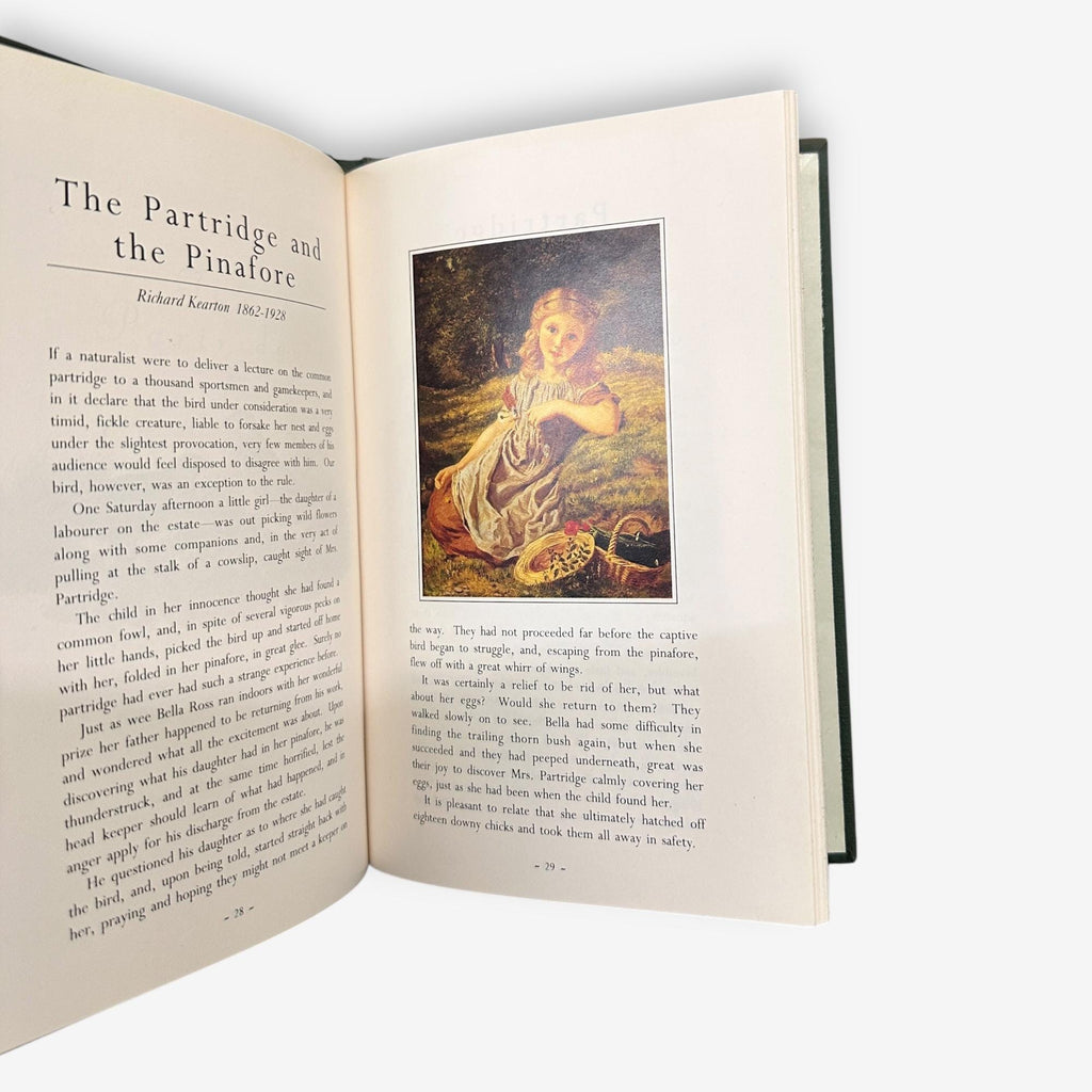 Country Treasury - Autumn (The Farmland) - Hardback Prose/Poetry Book (Marshall Cavendish) 1991