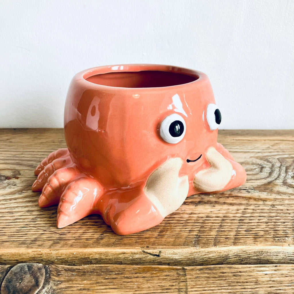 Novelty Orange Crab Planter Garden Plant Pot Unique Homeware Gift 18cm