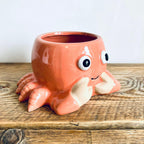 Novelty Orange Crab Planter Garden Plant Pot Unique Homeware Gift 18cm