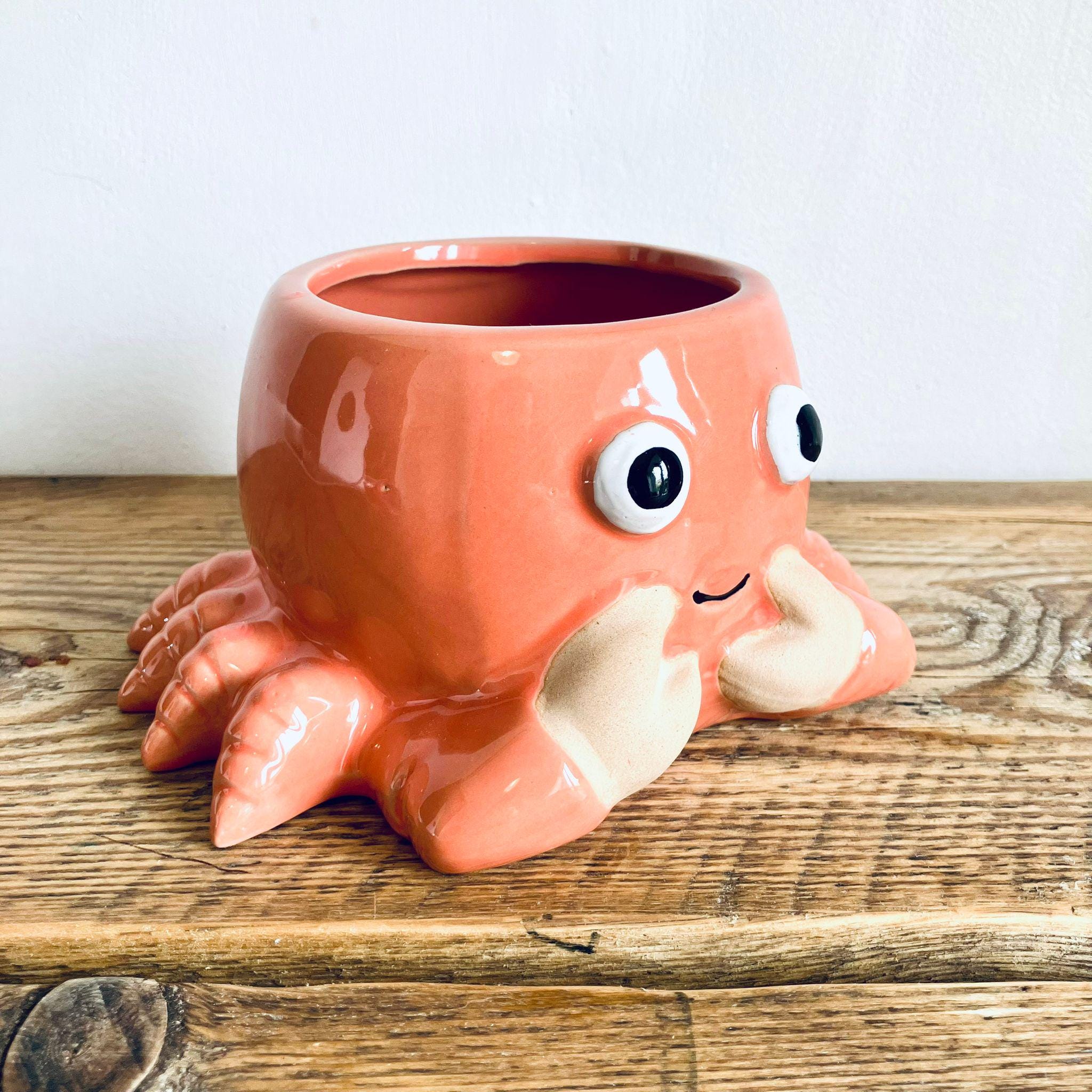 Novelty Orange Crab Planter Garden Plant Pot Unique Homeware Gift 18cm