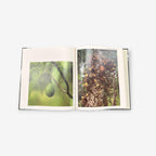 The Amazon - The World&#39;s Wild Places - Hardback Book (Tom Sterling) 1973