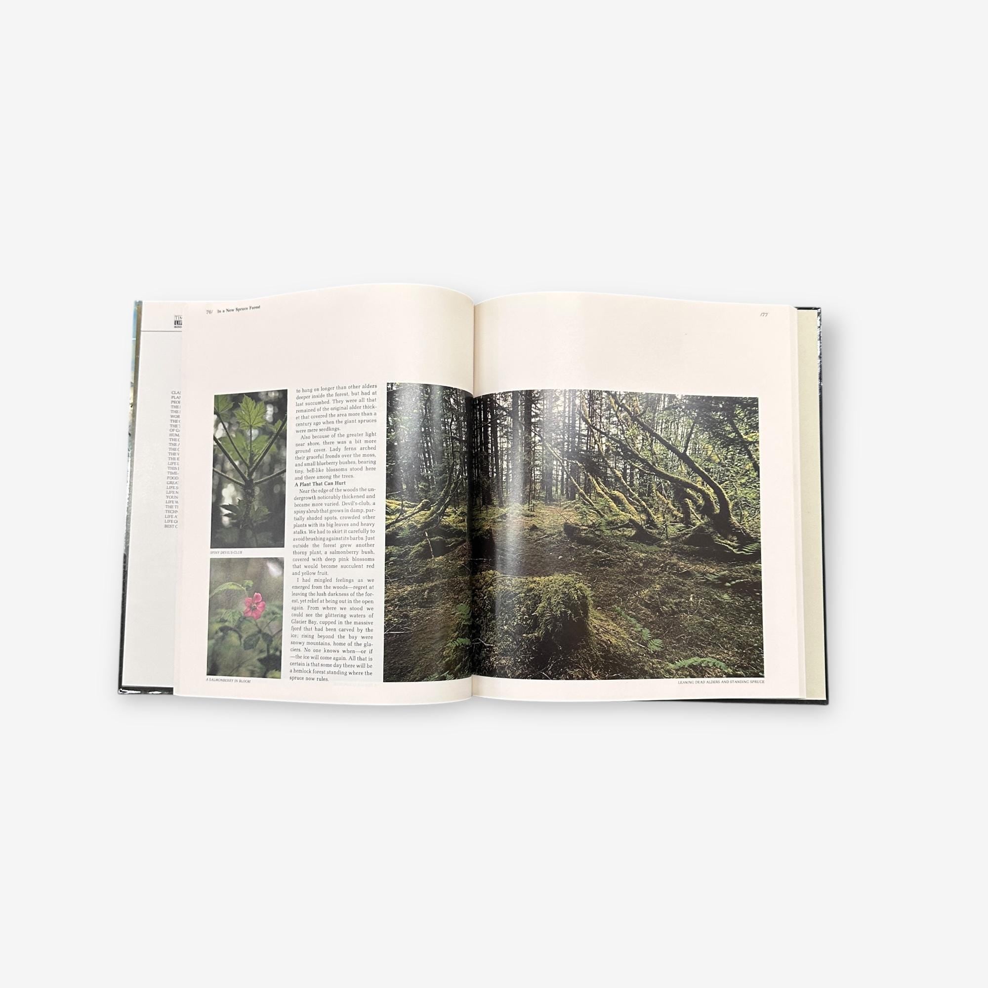 Alaska - The World&#39;s Wild Places - Hardback Book (Dale Brown) 1972