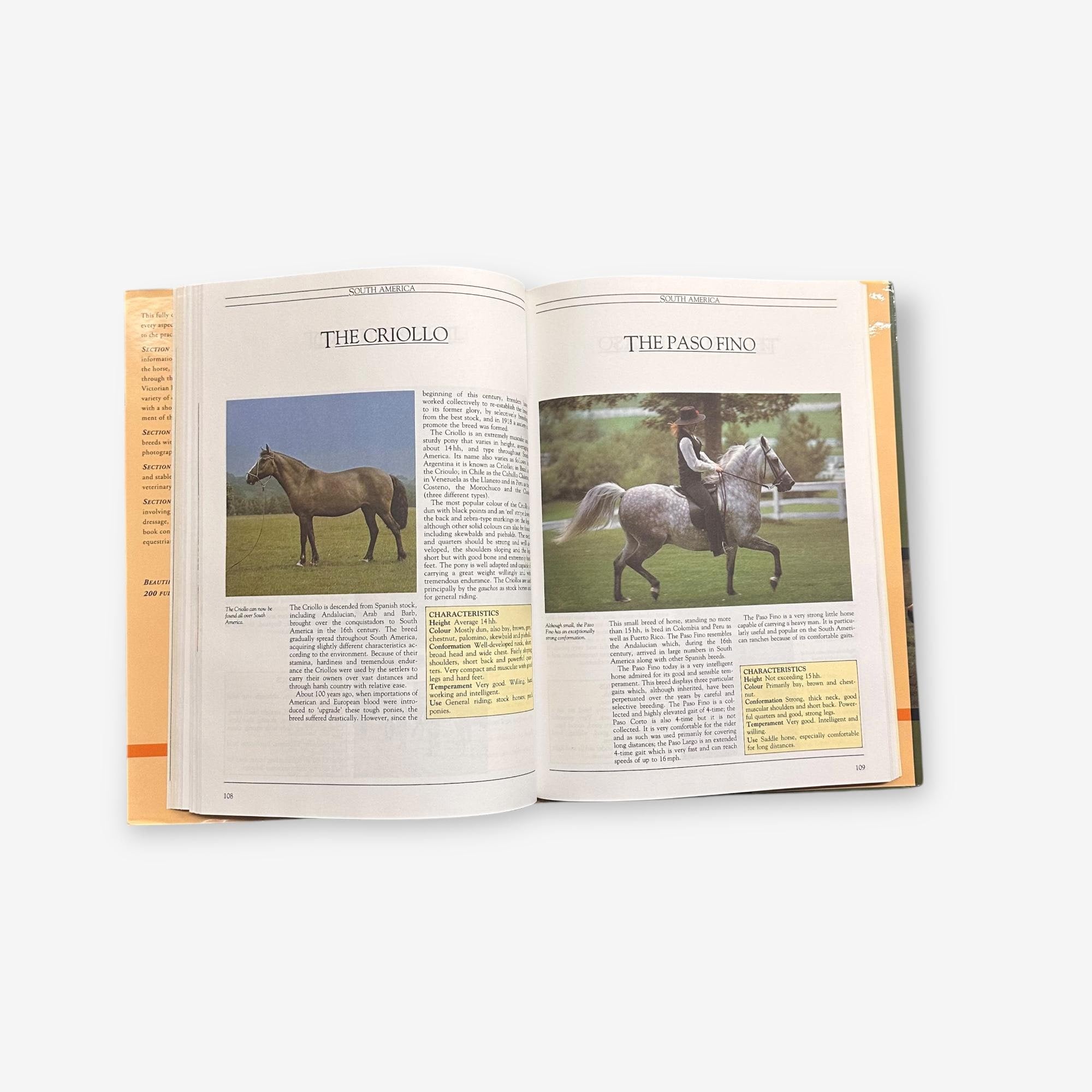 The Horse - A Complete Encyclopedia - Hardback Book (Angela Rippon) 1987