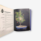 Bonsai - Hardback Book (Luigi Crespi) 1995