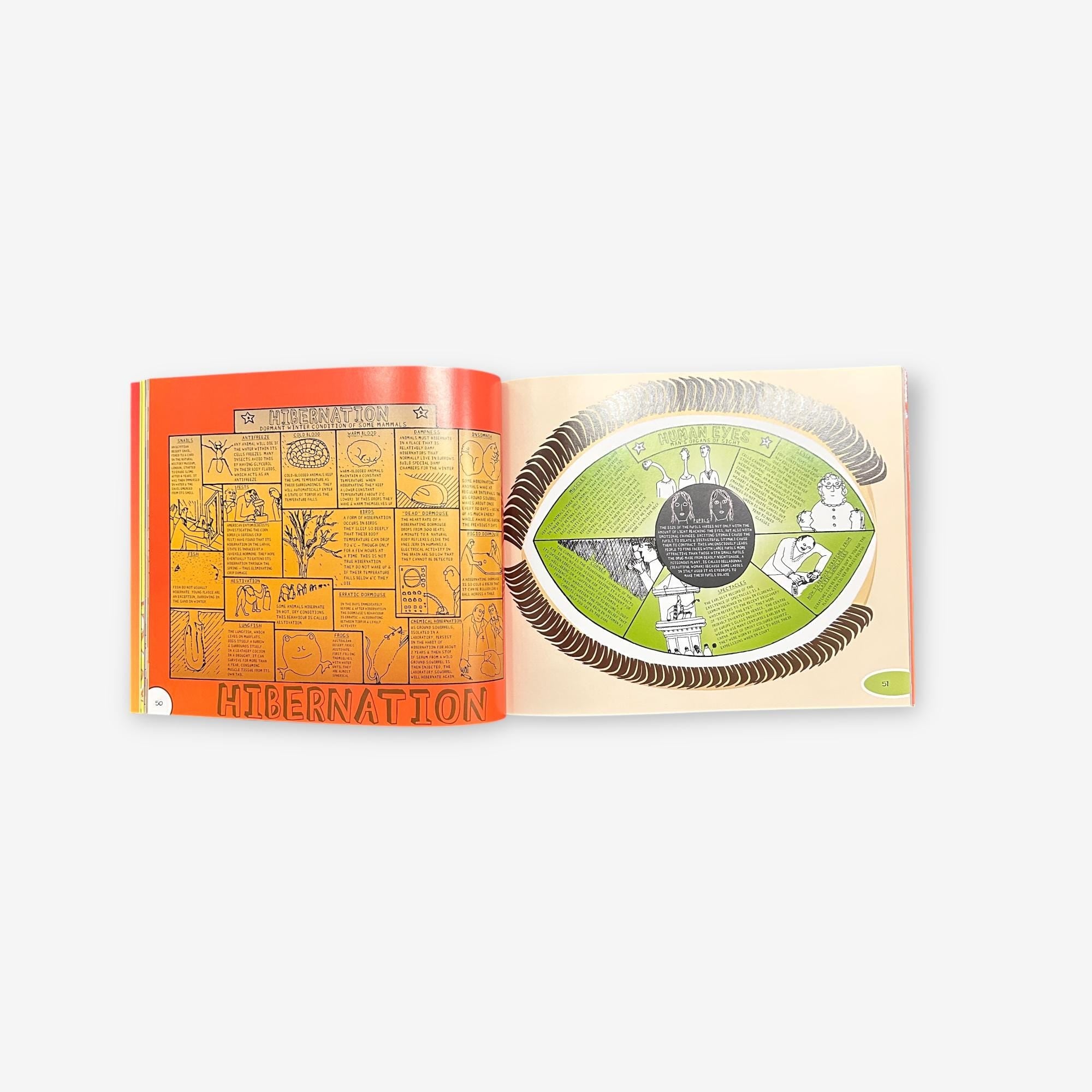 The Rudiments Of Wisdom - An A-Z Of Random, Peculiar And Fascinating Facts Paperback Book (Jane Wils